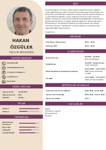 Yazılım Mühendisi Cv Örnekleri cv indir